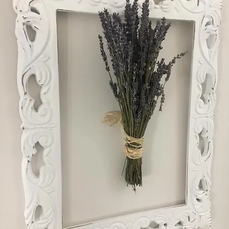 Alojamento de Acomodação e Pequeno-almoço L'aurora